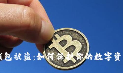 “B特派钱包被盗：如何保护你的数字资产安全？”